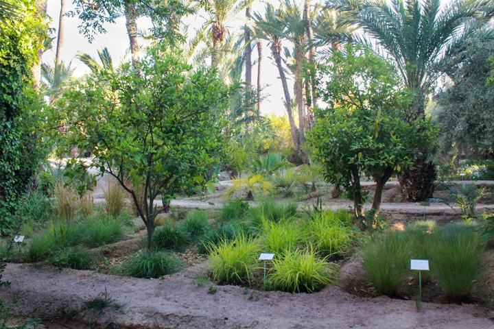 Jardines Botánicos de Marrakech